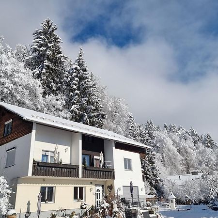 Ferienhaus Burgblick Treffen Luaran gambar