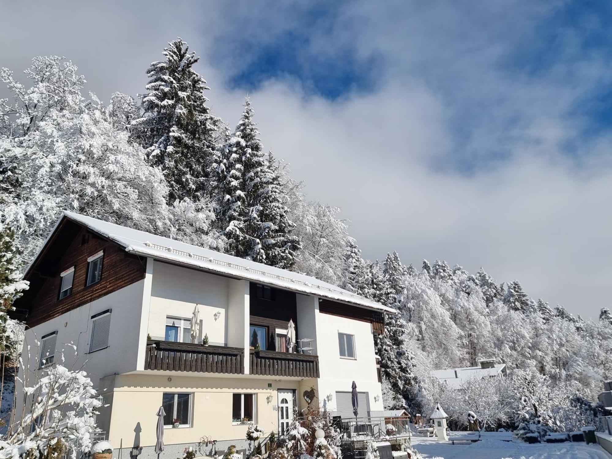 Ferienhaus Burgblick Treffen Luaran gambar