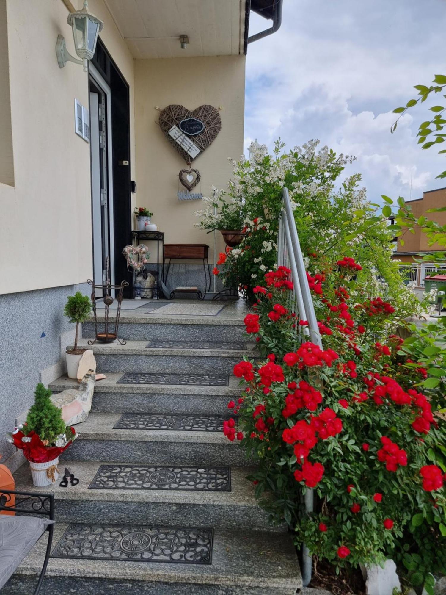 Ferienhaus Burgblick Treffen Luaran gambar