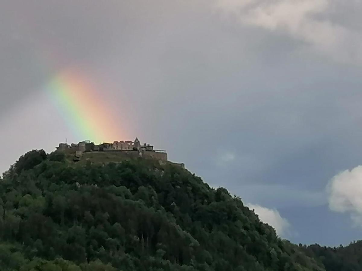 Ferienhaus Burgblick Treffen Luaran gambar